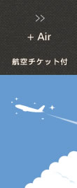 ANA航空チケット付